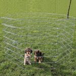 RECINTO GALVANIZADO PARA CACHORROS