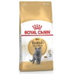 ROYAL CANIN BRITISH SHORTAIR 2 KG