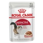 ROYAL CANIN CAT WET INSTINCTIVE MOLHO 12 x 85 GR