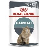 ROYAL CANIN CAT WET HAIRBALL CARE 12 x 85GR