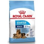 ROYAL CANIN MAXI STARTER