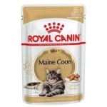 ROYAL CANIN CAT WET MAINE COON 12 x 85 GR