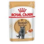 ROYAL CANIN CAT WET BRITISH SHORTAIR 12 x 85 GR
