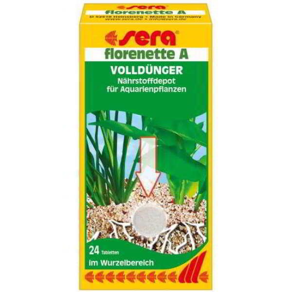 SERA FLORENETTE A - Image 1