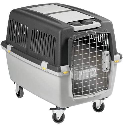 transportadora-gulliver-v-iata TRANSPORTADORA GULLIVER V IATA - Image 1