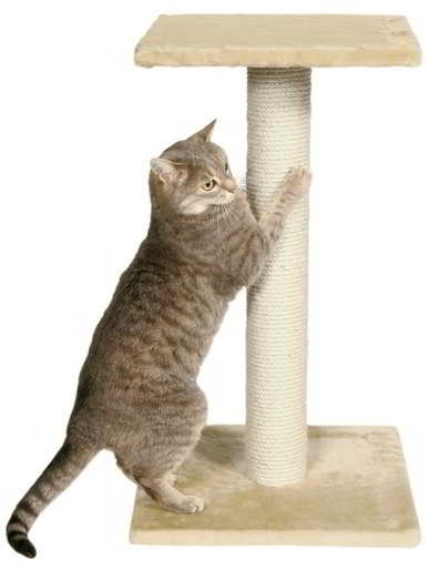 trepador-espejo TREPADOR ESPEJO - Image 1