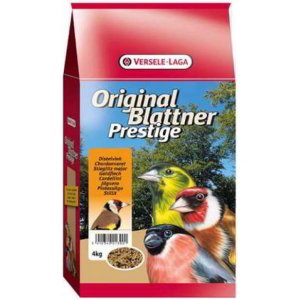 VL BLATTNER PINTASSILGO