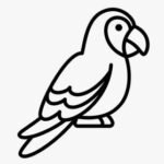 Aves