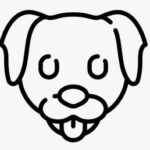 Cães