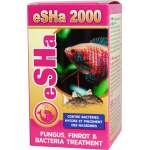 eSHa 2000