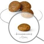 ROYAL CANIN X-SMALL ADULT - Image 2