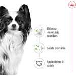 ROYAL CANIN X-SMALL ADULT - Image 4