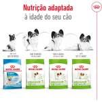 ROYAL CANIN X-SMALL ADULT - Image 5