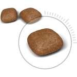 Royal Canin Vet Urinary S/O - Image 3