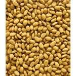 Nutribird P19 Original 10 Kg - Image 2