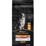 PRO PLAN MEDIUM & LARGE SENIOR 7+ FRANGO