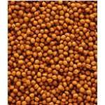 Nutribird T16 Original 10 Kg - Image 2