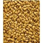 NutriBird P15 Original - Image 2