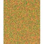 Nutribird B18 3 Kg - Image 2