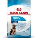 Royal Canin Maxi Puppy