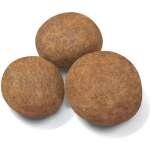 Royal Canin Maxi Puppy - Image 2