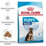 Royal Canin Maxi Puppy - Image 3