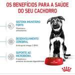 Royal Canin Maxi Puppy - Image 5