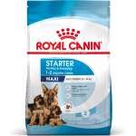 Royal Canin Maxi Starter