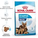 Royal Canin Maxi Starter - Image 3