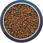 ADVANCE VET CAT GASTROENTERIC - Image 3